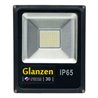 Светодиодный низковольтный прожектор GLANZEN FAD-0003-30-12V